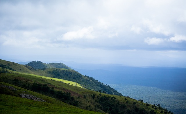 欧文泪洒科比雕像，怀念大哥与侄女.