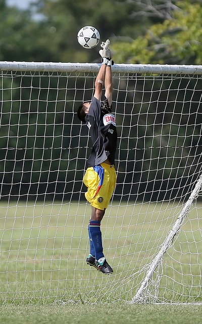 上具有优势 上具有优势