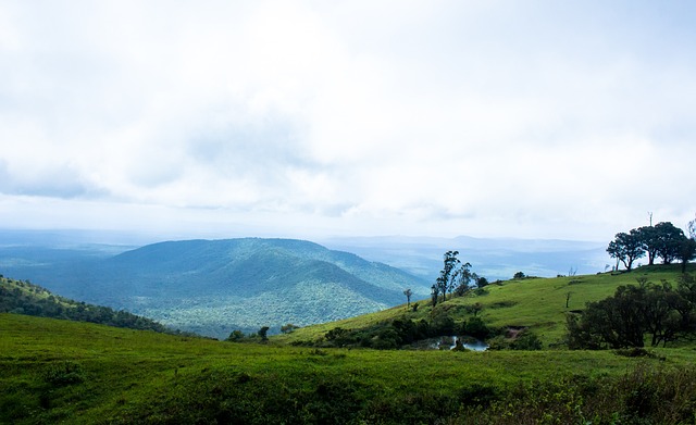 NBA｜惊天大交易浓眉哥转战独行侠 东契奇赴湖人联手詹皇！.