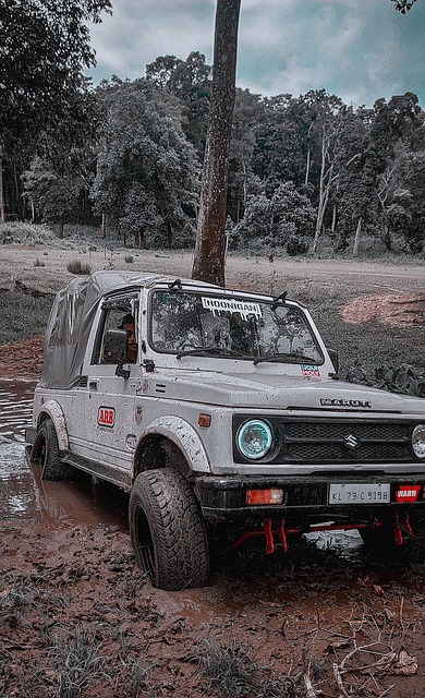 而是来自对 而是来自对