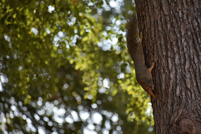 并最终逆转 并最终逆转