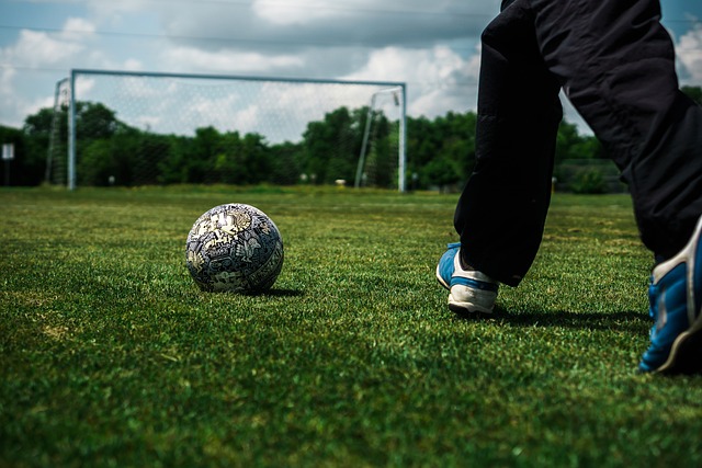 的竞技水准 的竞技水准