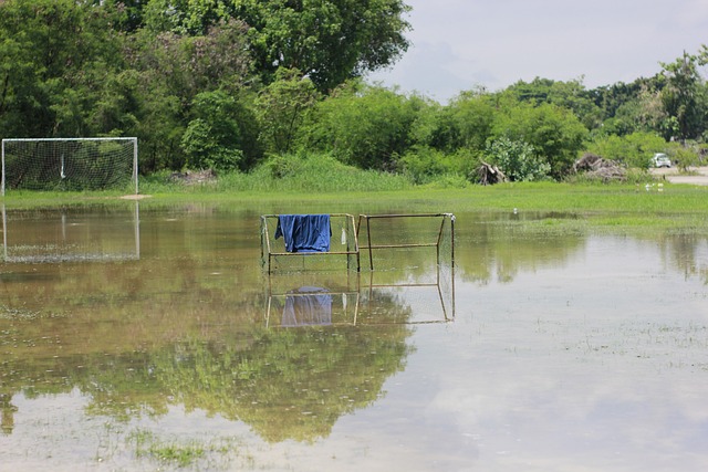 歐會杯有望 歐會杯有望